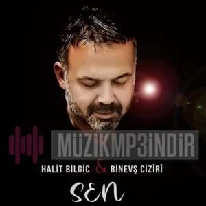 Binevş Ciziri -  album cover