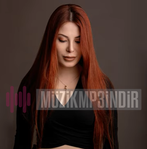 Bircan Düdükçü -  album cover