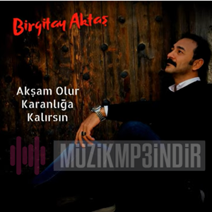 Birgitay Aktaş -  album cover