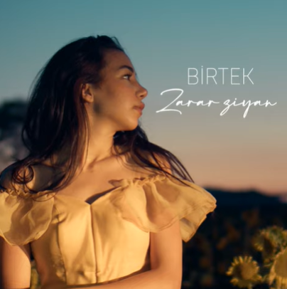 Birtek -  album cover