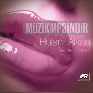 Bulent Alkan