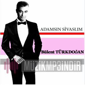 Bulent Turkdogan