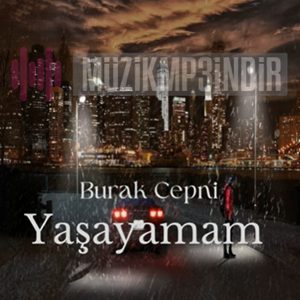 Burak Çepni -  album cover