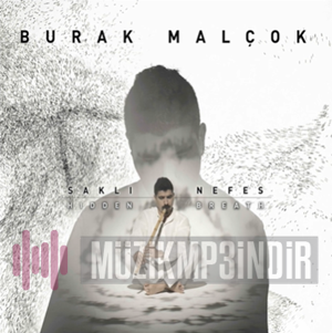 Burak Malcok