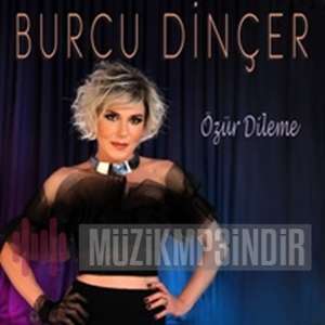 Burcu Dincer