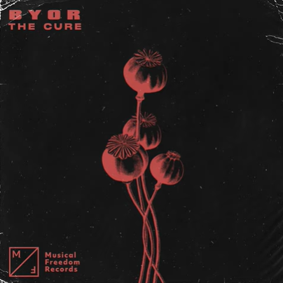 BYOR - Let It Drop