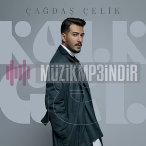 Çağdaş Çelik