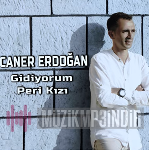 Caner Erdogan