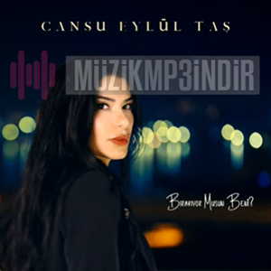 Cansu Eylül Taş -  album cover