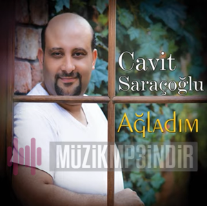 Cavit Saraçoğlu