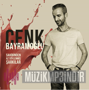 Cenk Bayramoglu