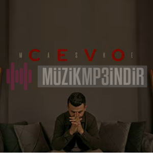 Cevo