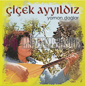 Chicek Ayyildiz