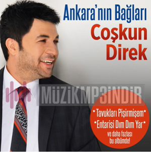 Coşkun Direk