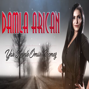 Damla Arıcan -  album cover
