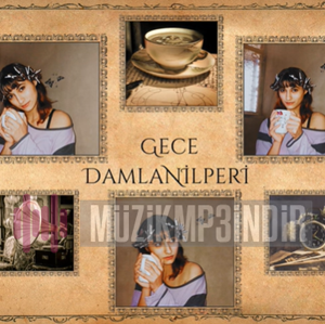 Damlanilperi