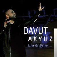 Davut Akyuz