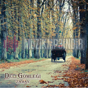 Deli Gömleği -  album cover