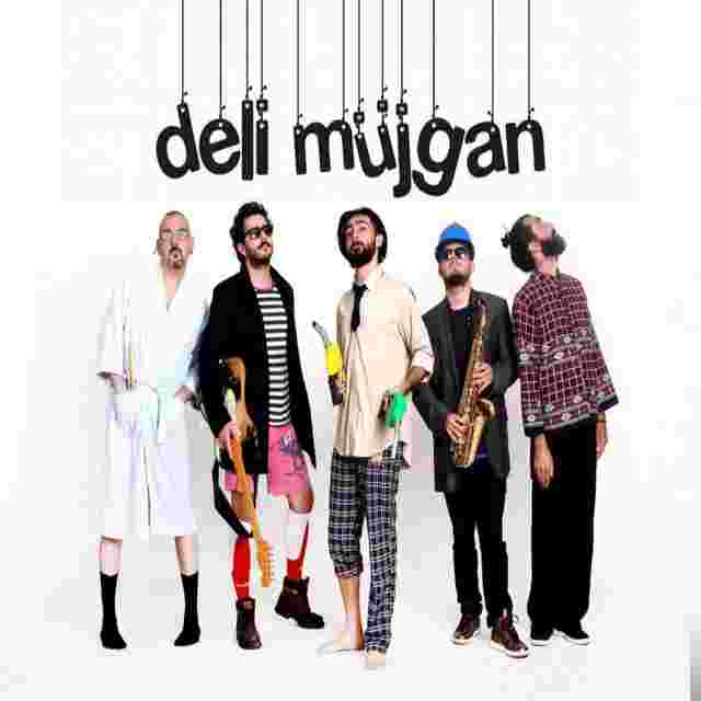 Deli Müjgan -  album cover