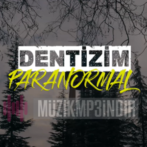 Dentizim