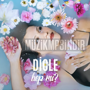 Dicle