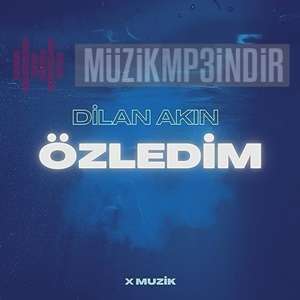 Dilan Akın -  album cover