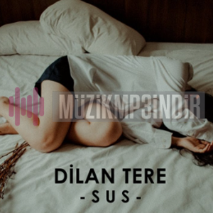 Dilan Tere