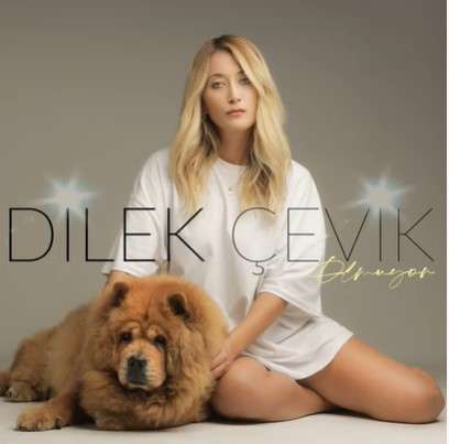 Dilek Çevik -  album cover