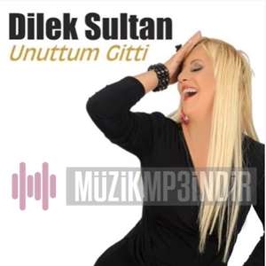 Dilek Sultan