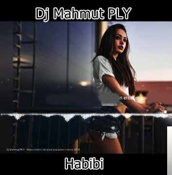 Dj Mahmut PLY