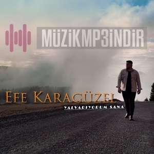 Efe Karaguzel