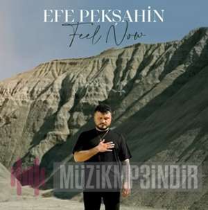 Efe Pekshahin