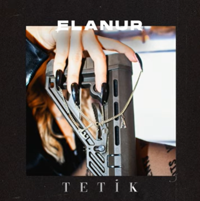 Elanur -  album cover