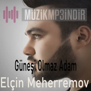 Elcin Meherremov