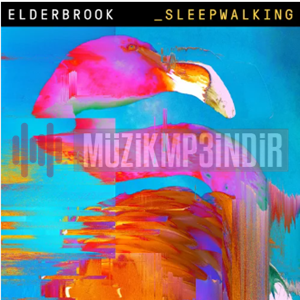 Elderbrook