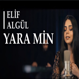 Elif Algul