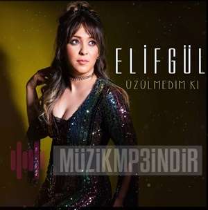 Elif Gül - Üzülmedim Ki (2023) Albüm
