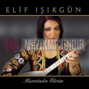 Elif Ishikgun