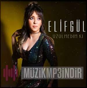 ElifGul