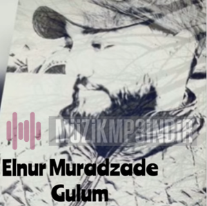 Elnur Muradzade