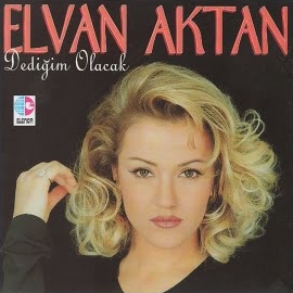 Elvan Aktan