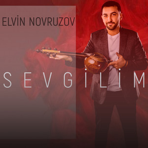 Elvin Novruzov