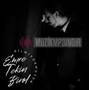 Emre Tekin Birol