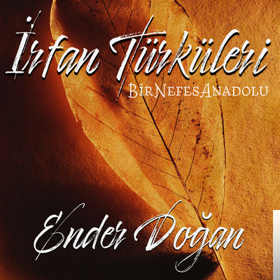 Ender Dogan