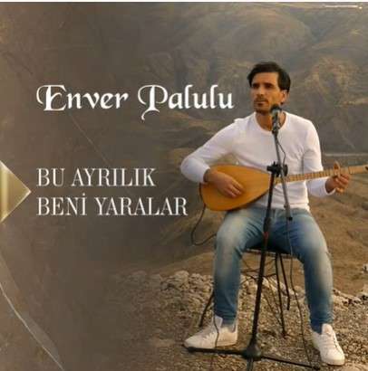 Enver Palulu -  album cover