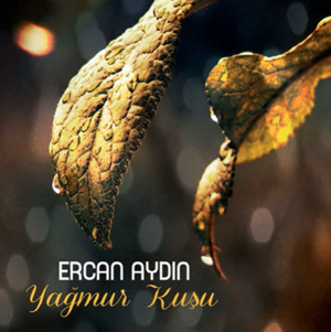 Ercan Aydin