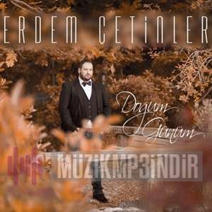 Erdem Çetinler -  album cover