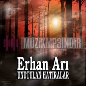 Erhan Arı - Unutulan Hatıralar (2015) Albüm