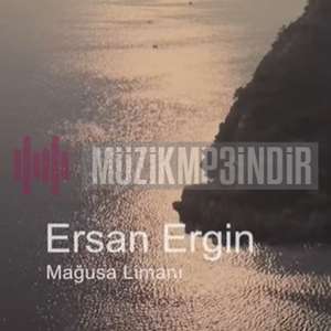 Ersan Ergin