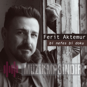 Ferit Aktemur